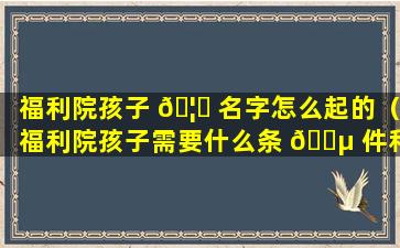 福利院孩子 🦄 名字怎么起的（福利院孩子需要什么条 🐵 件和手续）